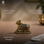 Pure Brass Nandi - 2.5 Inch