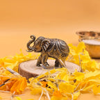 Brass Elephant Idol Pair | 1.5 Inch | Pack of 2 | Minature Statue for Good Luck | Feng Shui |