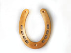 Goodluck Horse Shoe (घोड़े की नाल) (Copper) 3.5 Inch