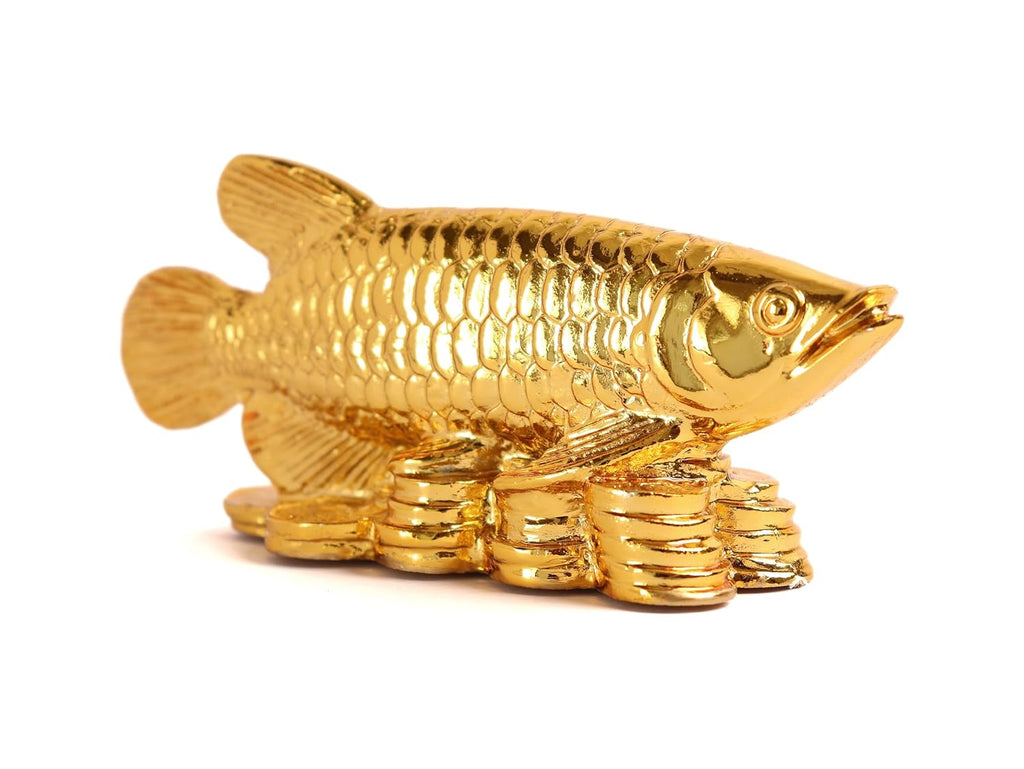 Feng Shui Arowana Fish Statue | 5.5 Inch | Vastu Products | Home & Office |