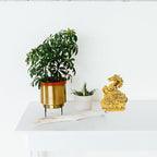 Gold Uplifted Legs Horse with Ingot - 4 INCH