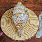 TSL Luxe Ganesh Shankh | 4.5 Inch | Office | Pooja Mandir | Home & Business Entrance | Dual Tone Conch Shell | Idol |