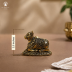 Pure Brass Nandi - 2.5 Inch
