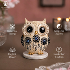 White Owl Showpiece - ( Evil Eye )